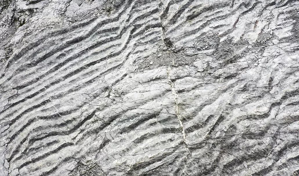 北碚发现三叠纪时期海洋波痕遗迹!2.5亿年前重庆曾是汪洋大海!