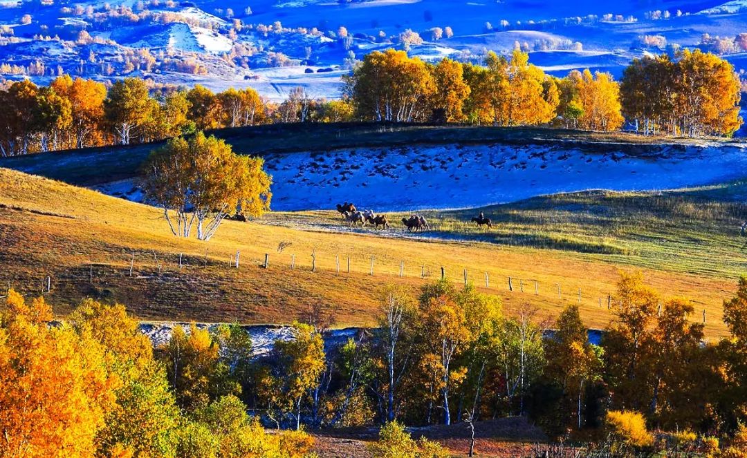 错过秋天的木兰围场是一种遗憾