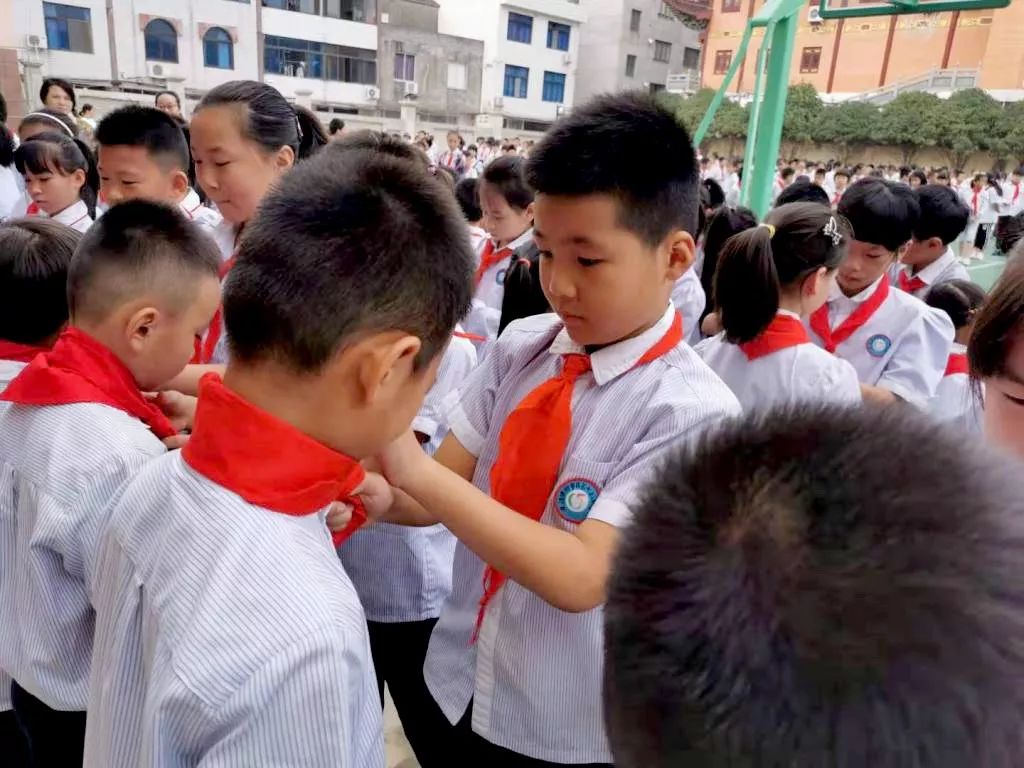 红领巾心向党 | 中国少年先锋队建队70周年,乐清少先队员这样来庆祝