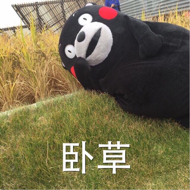 熊本熊表情包我被五花肉蒙蔽了双眼