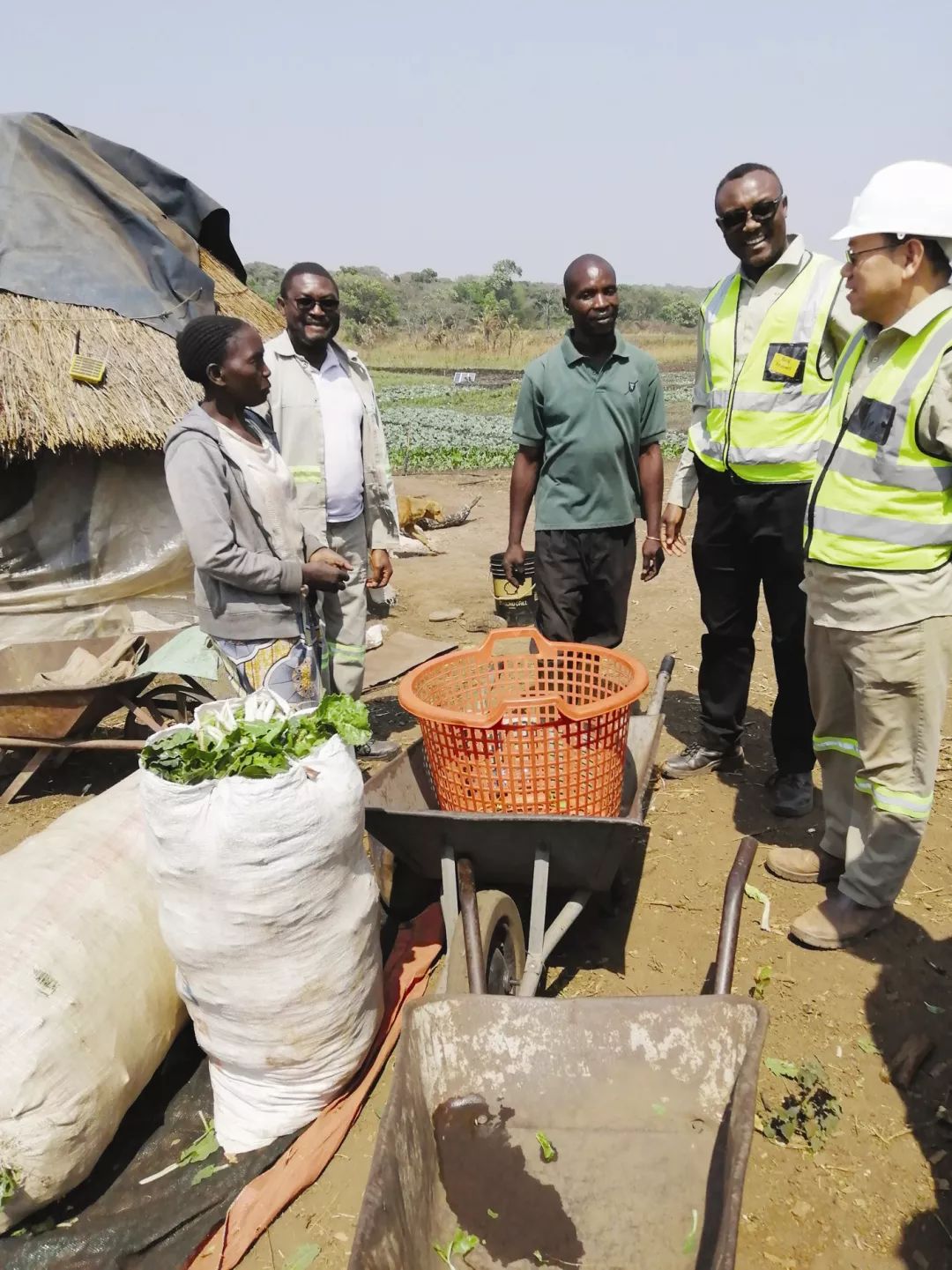一线报道搞矿的请注意这才是真正的刚果金