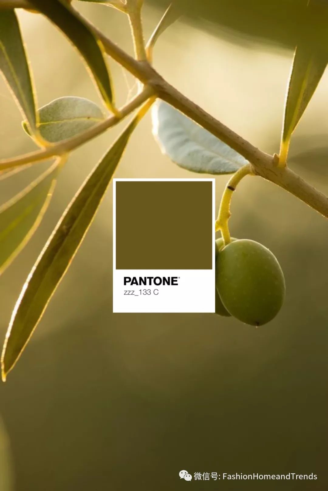 2020,这种橄榄绿可以让你家很有型#fashion色彩