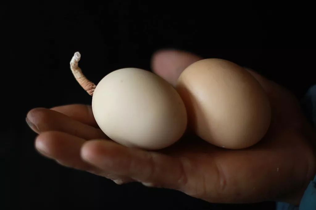 鸡蛋带把儿腰而营子真出这事儿了