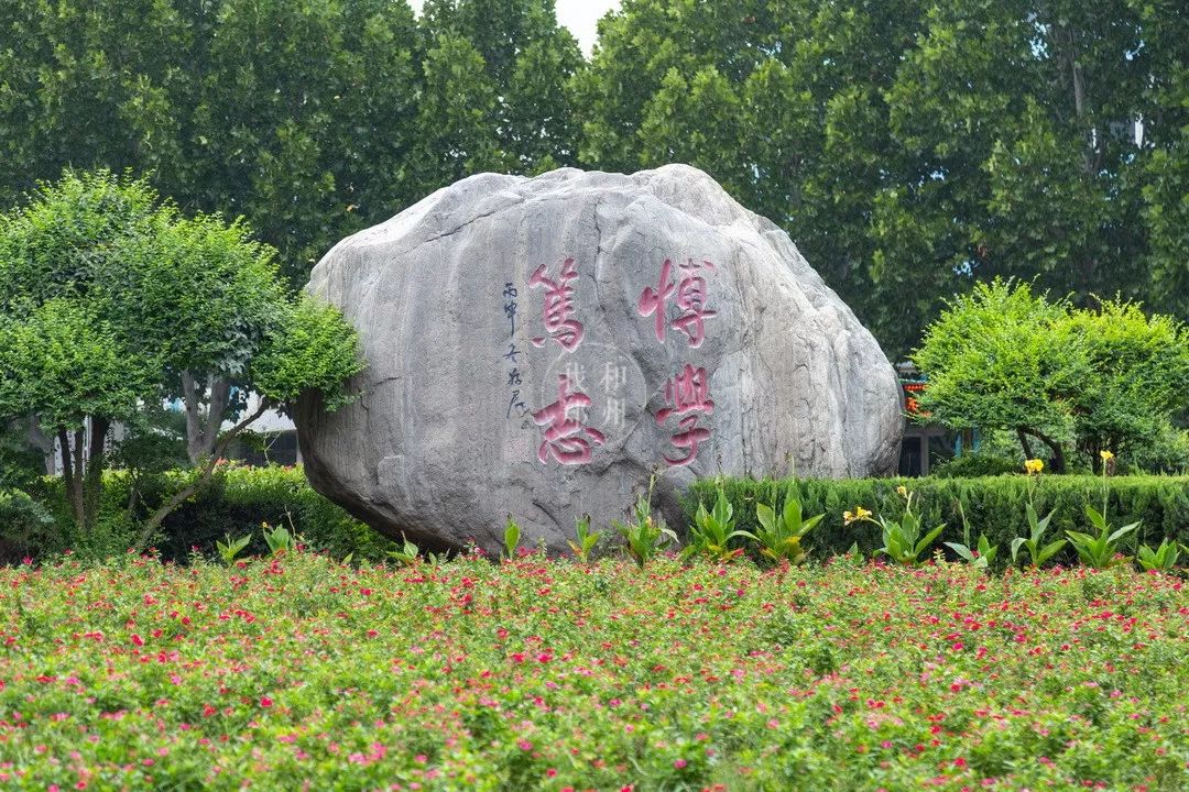 超低调超好吃超便利郑州大v打卡黄科院获万人点赞校友直呼难忘旧时光