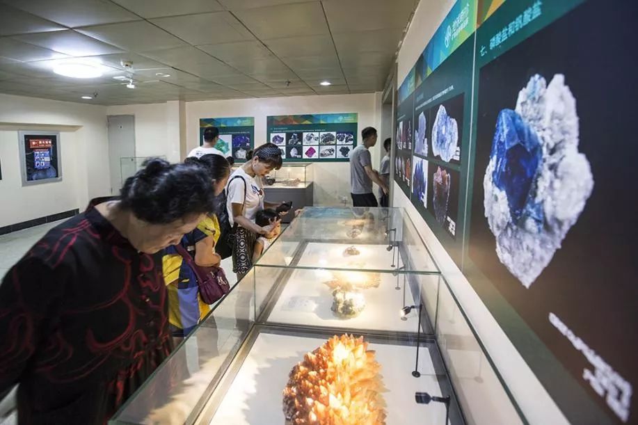 大连自然博物馆免费开放10年来的点滴变化专题临展