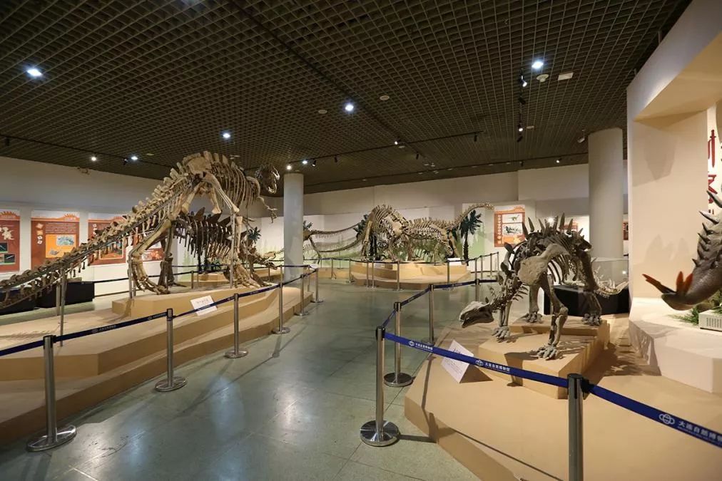 大连自然博物馆免费开放10年来的点滴变化专题临展