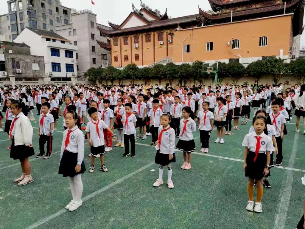 柳市文博小学简介图片