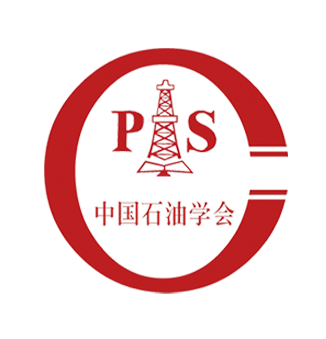 中国石油学会石油经济专业委员会中国石油学会石油统计专业委员会承办