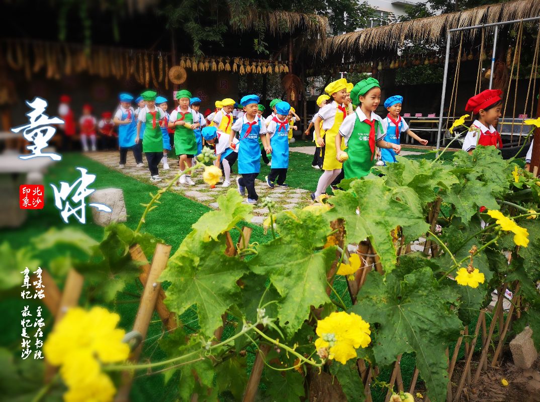 农耕体验园20版最近火了