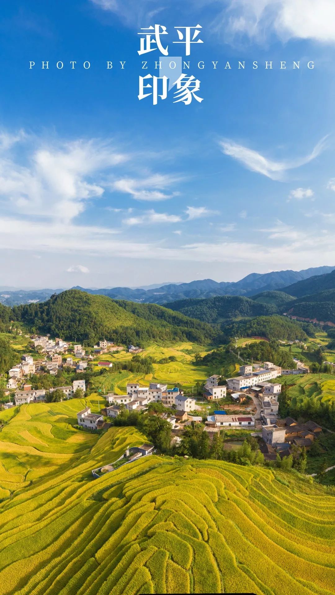 武平又获"金字招牌"!全省农产品质量安全县名单公布