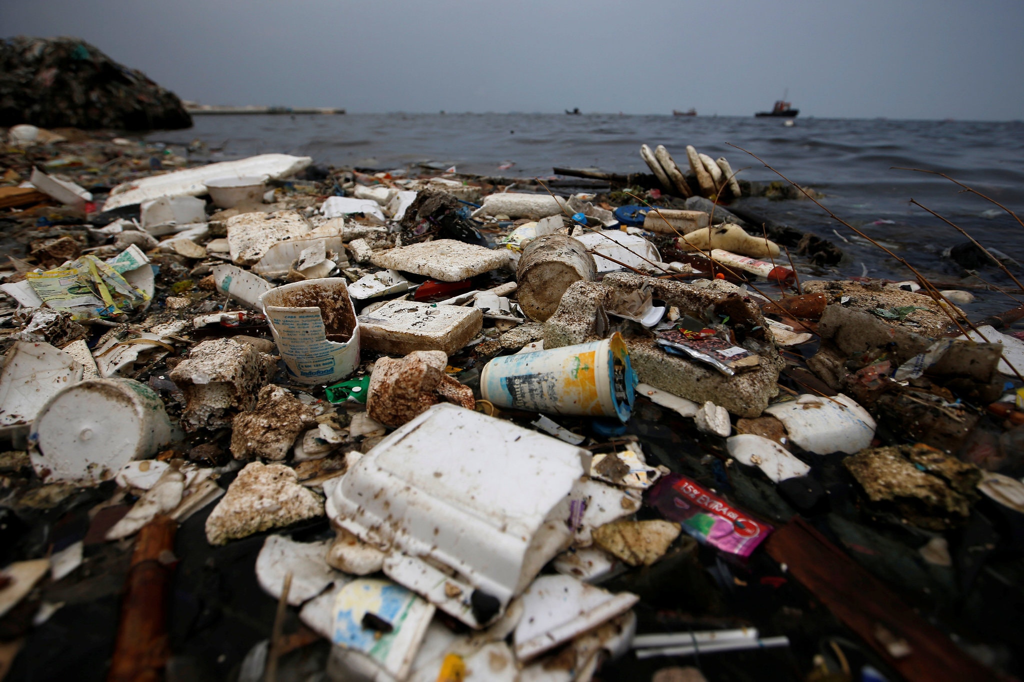 最新科学研究表明并不是所有的海洋塑料垃圾都很难自然分解