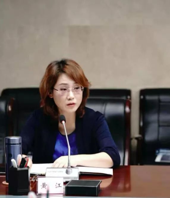 黄江副市长参与会谈李克纯副市长参与会谈铭泰投资发展集团有限公司始