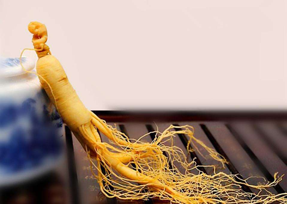 人参党参西洋参送父母选哪一种参最好