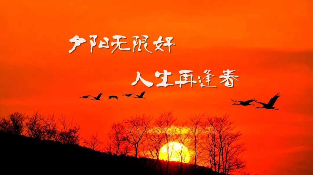 夕阳无限好 人生再逢春