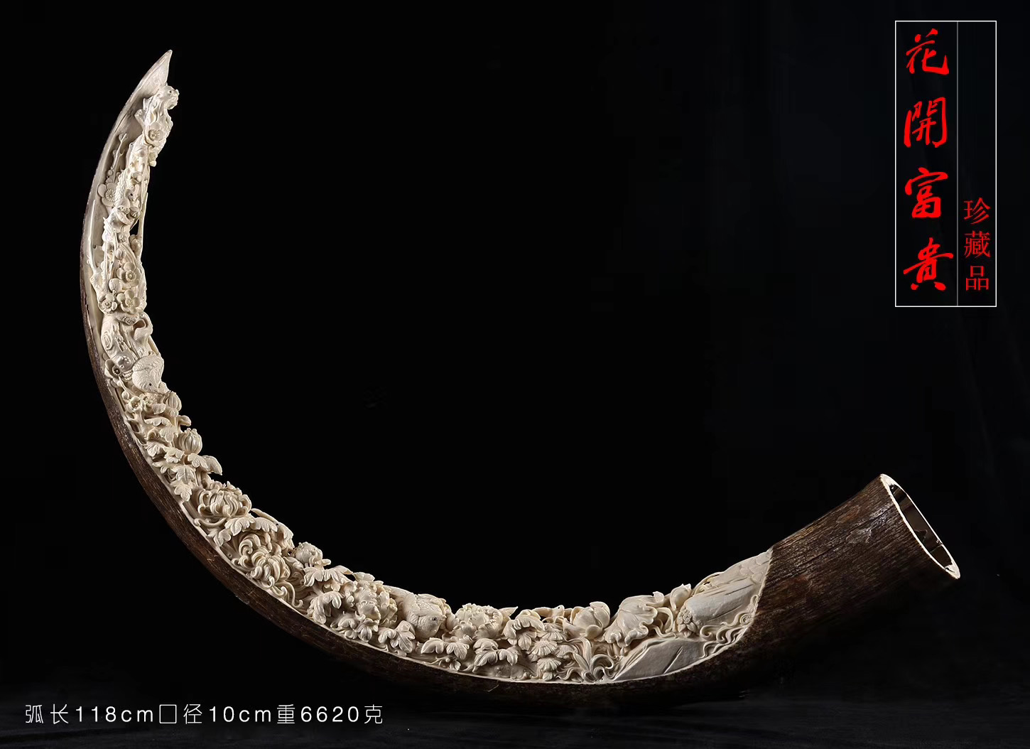 牙尖上的艺术——雕刻在牙齿上的花鸟