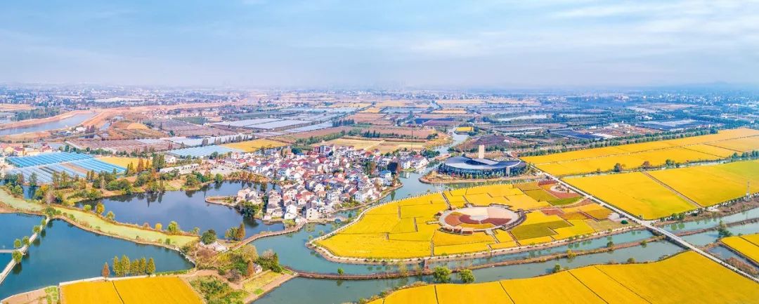 湖熟街道打好两张牌谱写乡村振兴新华章