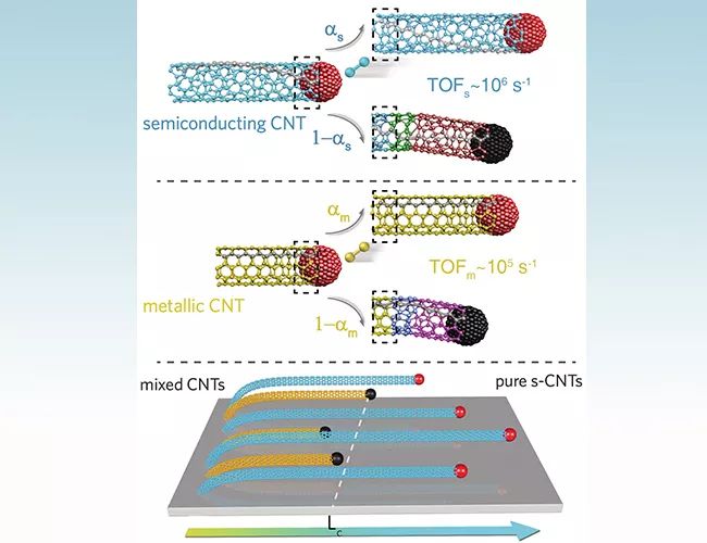 高纯度半导体性碳纳米管阵列的速率选择生长为此,魏飞教授团队专注