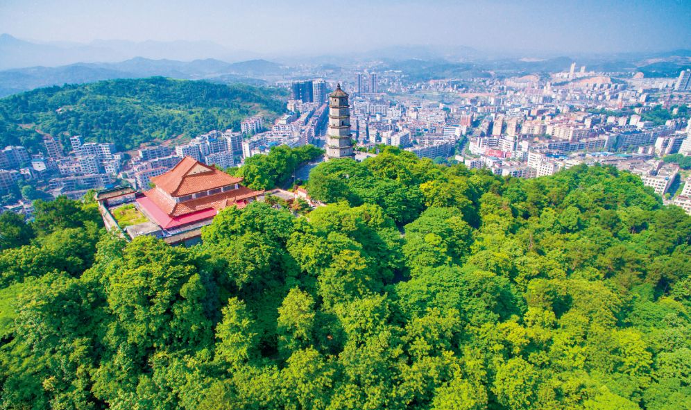 文明花开别样红桂阳县深入推进创建全国文明城市工作