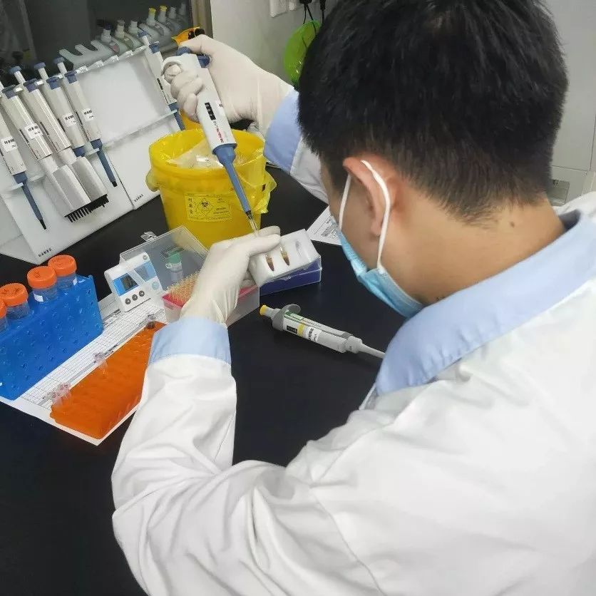 小哥哥实验笔记之磁珠法全血样本的dna提取学习学习专栏