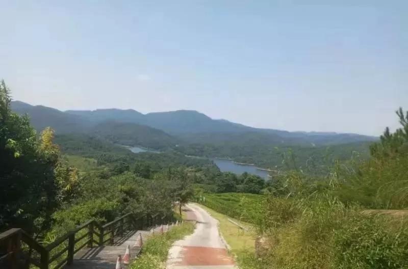 花都九龙湖徒步走进广州后花园感受不一样的徒步天堂