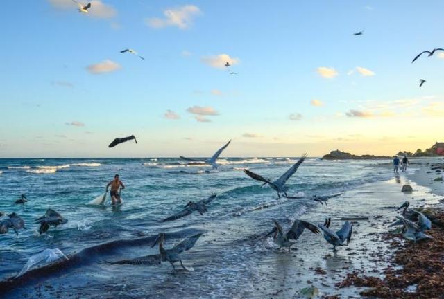 北美洲最大的海湾面积155万平方公里属于这三个国家所有
