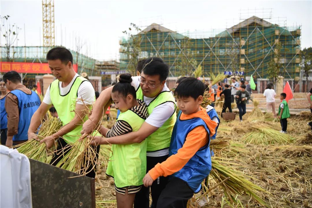 割稻脱粒扬谷小学生乐当校园小农夫