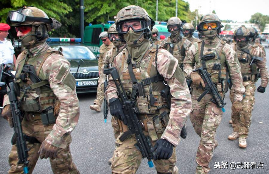 军事丨波兰雷鸣特种部队将守卫油田的40多个士兵全部击毙