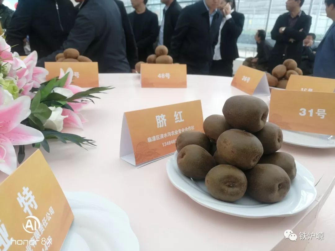 合作社——银奖获得者周至县果业局副局长陈刚科,周至县副县长王硕