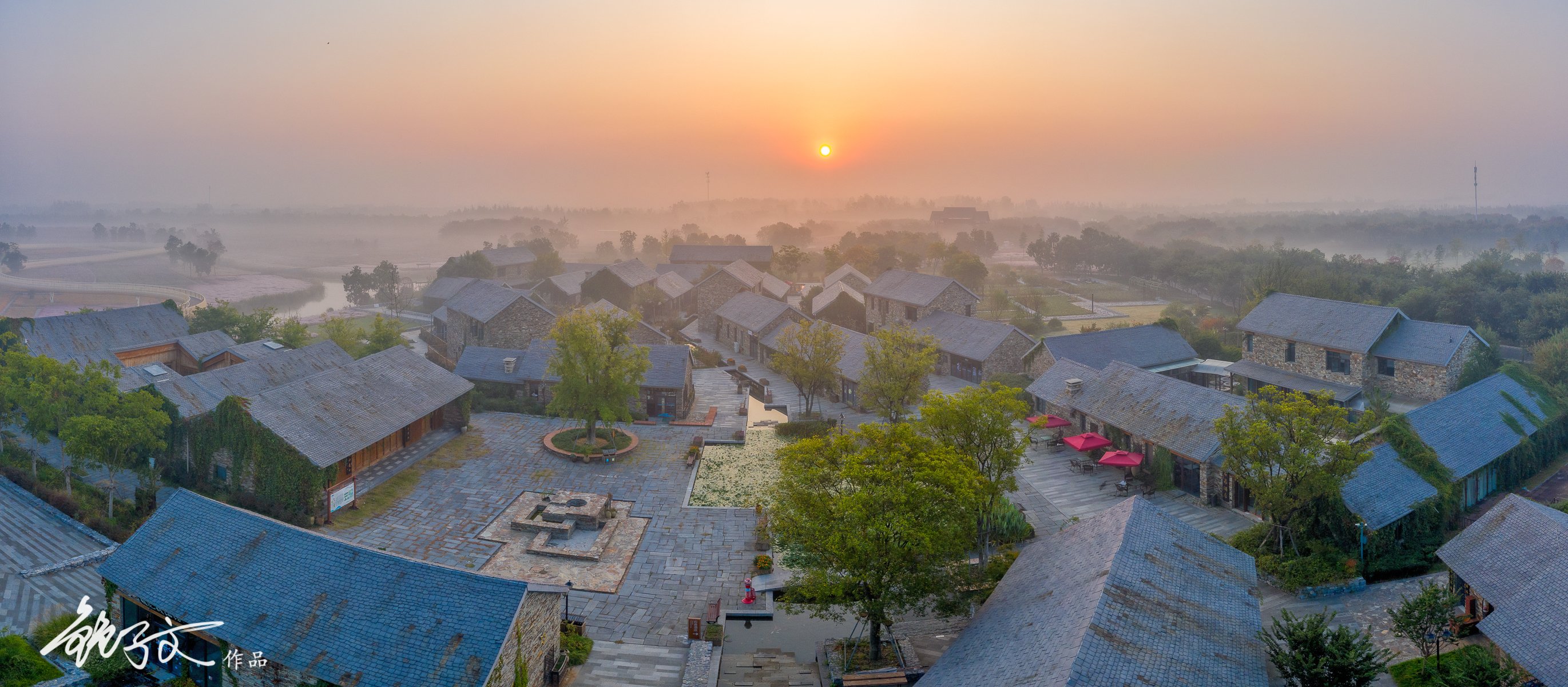 花漾宿迁,挡得住的洋河酒,挡不住的衲田花海秋