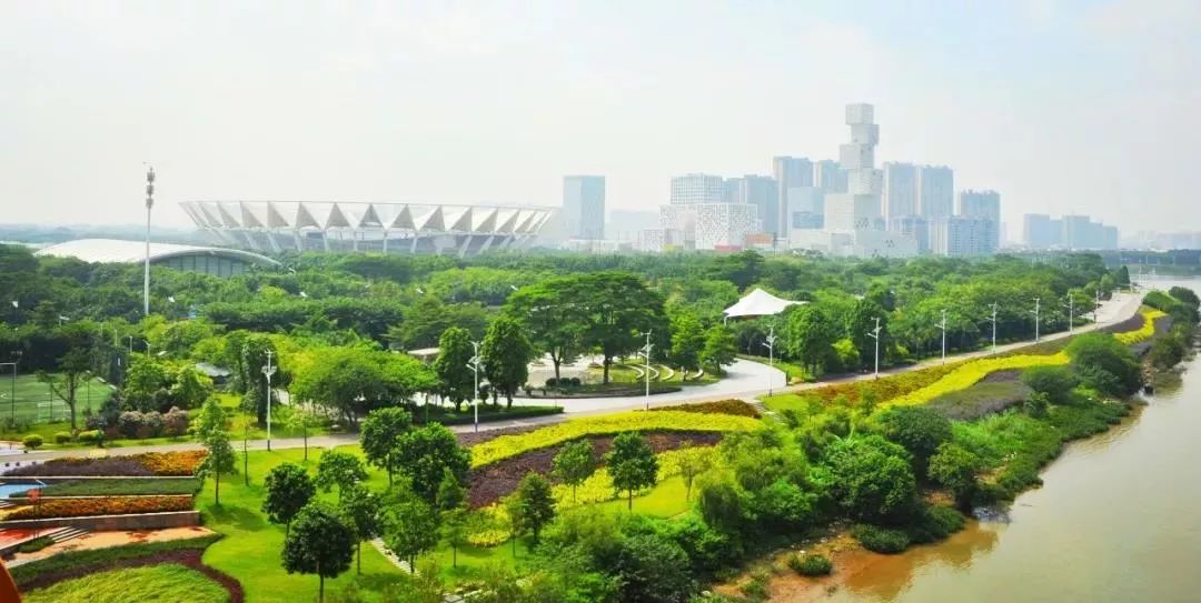 "粉"遍乐从朋友圈的打卡圣地,三龙湾碧道环的魅力你领略过了吗?_佛山