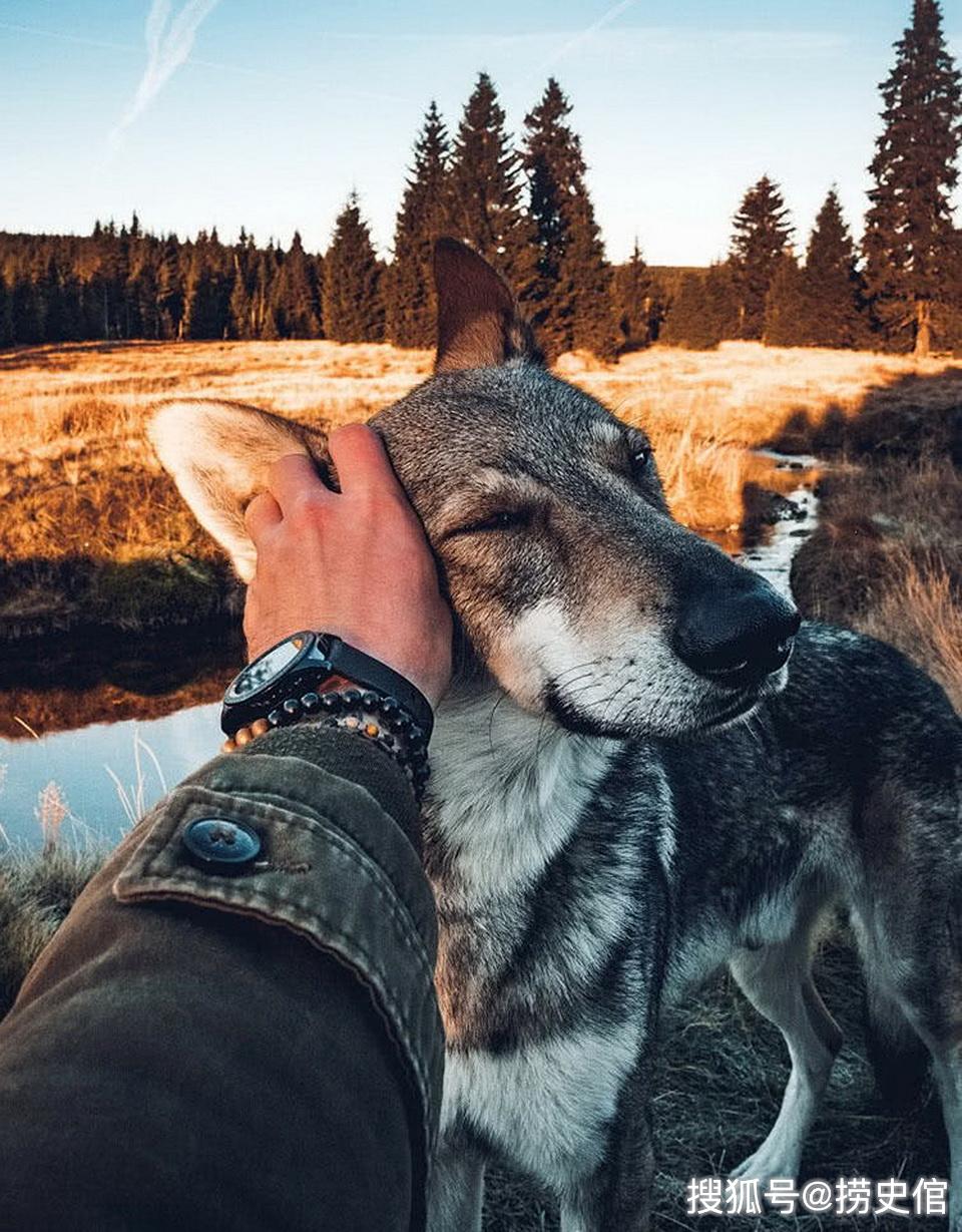 狗狗与主人在一起最幸福,捷克男子带狗狗一起旅行