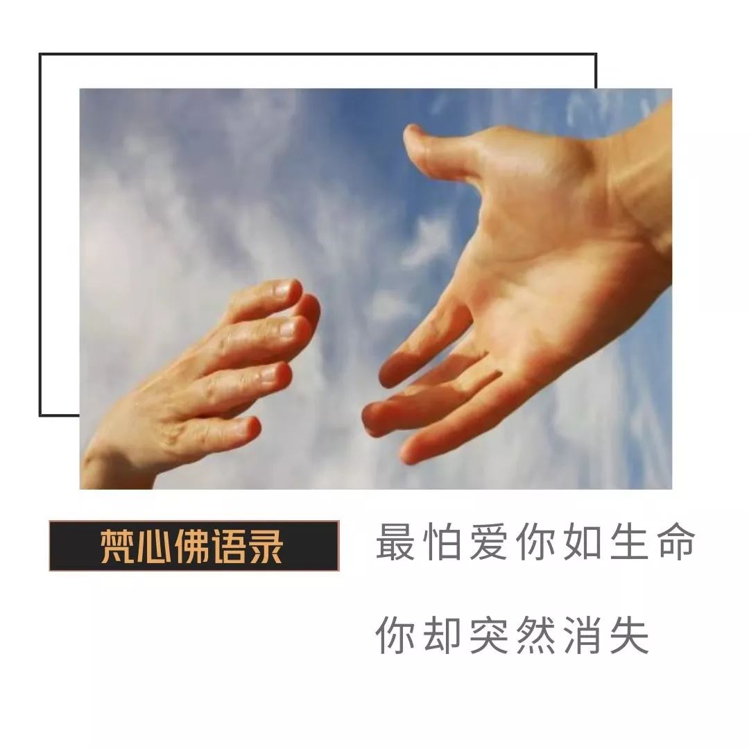 最怕爱你如生命,你却突然消失