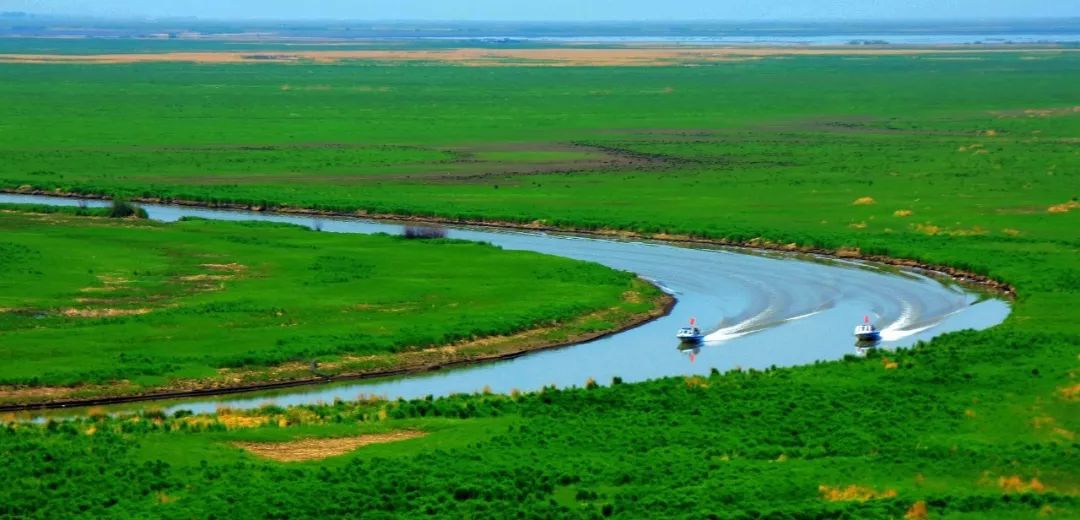 雁窝岛三面环水,一面沼泽,保存有完整的三江平原原始湿地景观,是三江