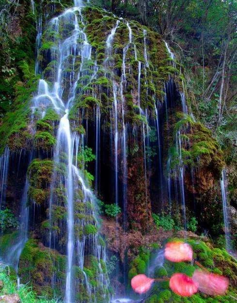 遇见之大自然里的太极神韵重渡沟3日太极游学