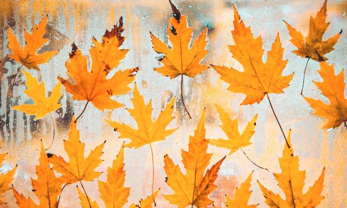 如何让家电科技释放温暖？美的通过《秘密大改造》给出答案-家电圈官网