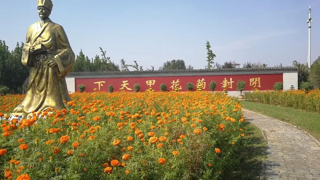 赏菊大军将涌入古城开封10月18日-11月18日中国菊花文化节我们赏菊去