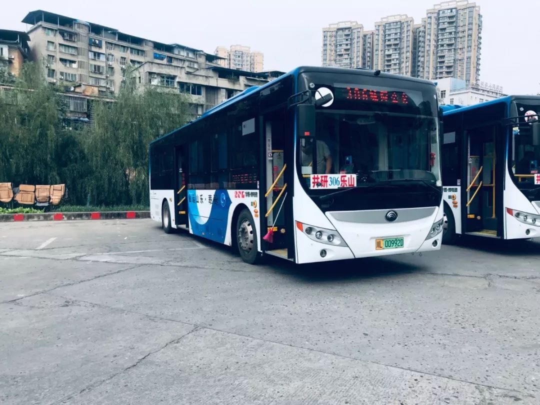 乐山306路公交车你终于火了