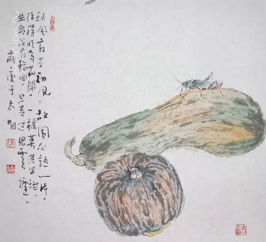 书画南北方种瓜得瓜陈太明中国画小品展