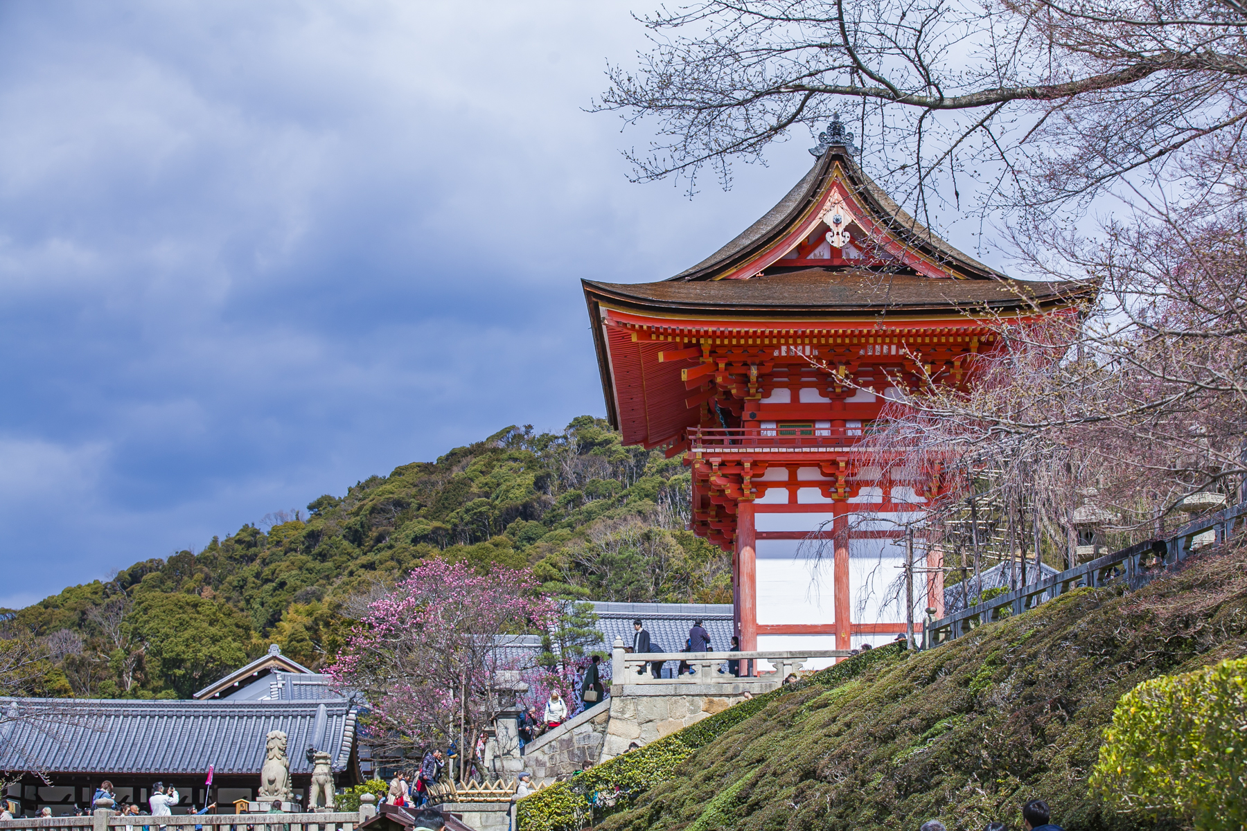 為什麼說，這些唐風宋骨的建築，只有在日本才能見到？ 旅遊 第11張