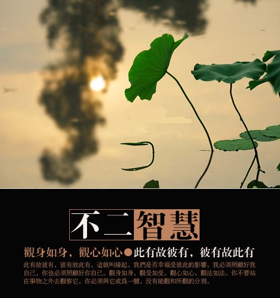 此有故彼有彼有故此有观身如身观心如心