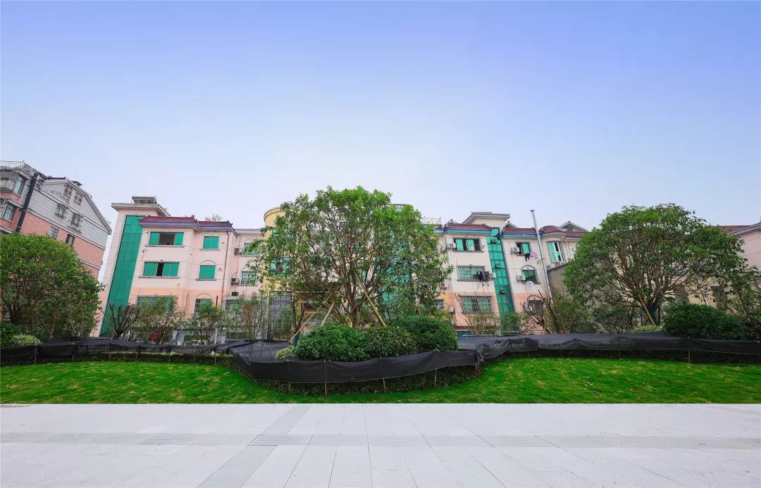 乔司,靓起来!_街道