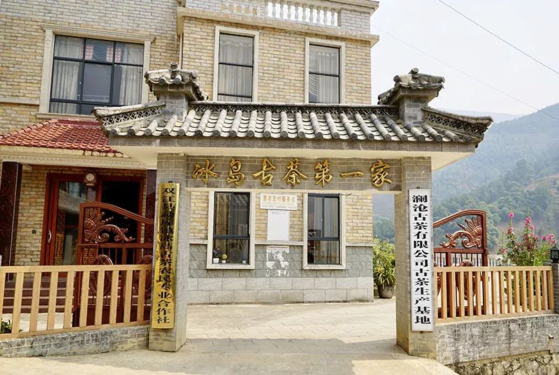 澜沧古茶多年的沉淀与积累,深度掌握古茶树资源,建立百余所原料初制所