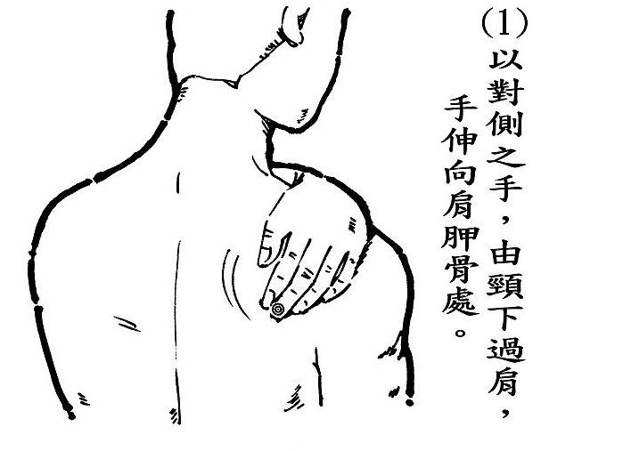 是比较容易找到的,大家可以根据图示的位置自己进行按摩舒缓腰背酸痛