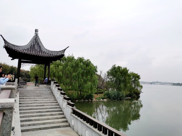 漫步在紹興迪蕩湖公園,入眼的是清澈湖面,茵茵綠草.