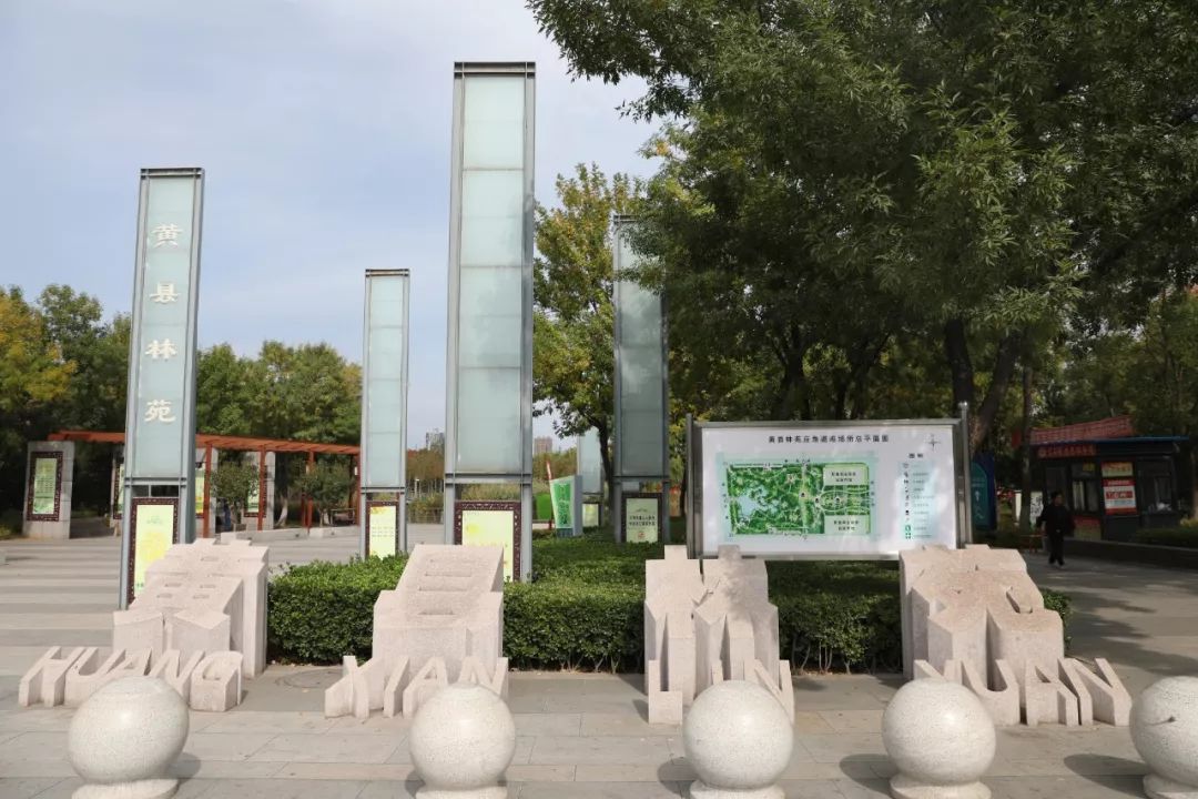 黄县林苑大变样!最近,不少人都往这跑_龙口