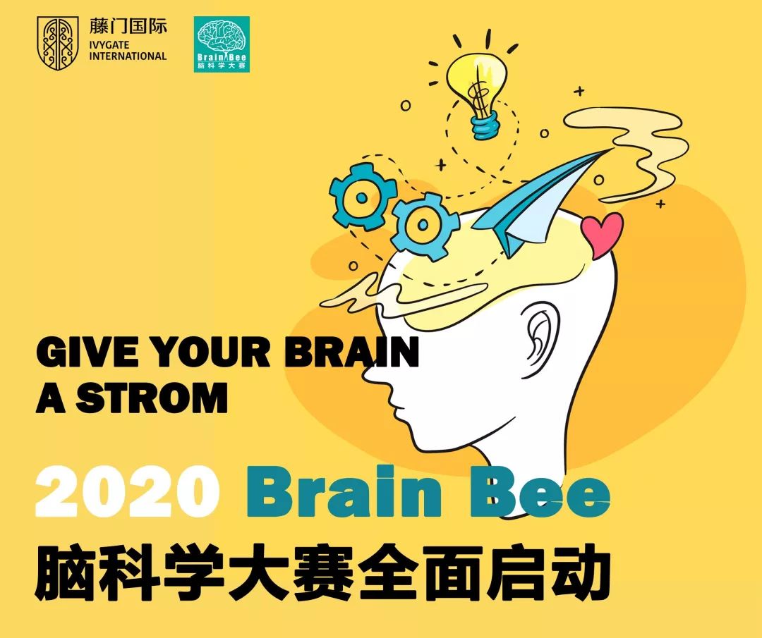 2020年brainbee脑科学国际大赛报名开启藤门承办四省六地