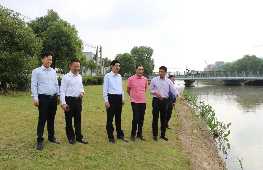 书院镇人大视察水环境治理