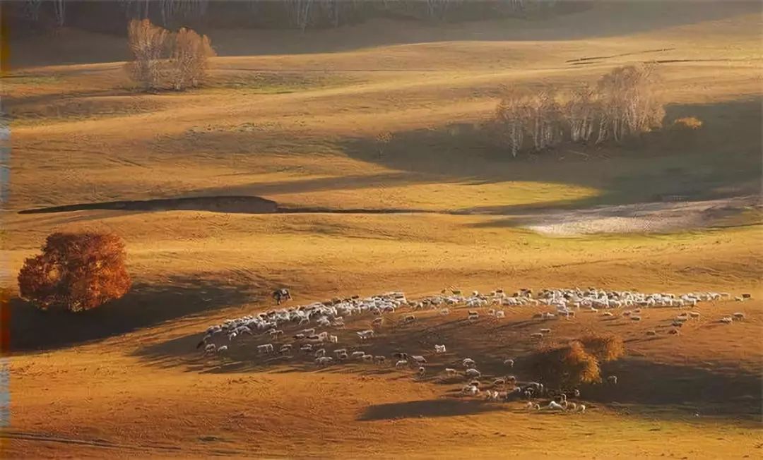 [静海文化] 秋之长调