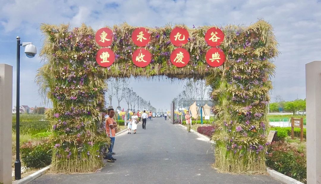 崇明这个开心农场与你分享丰收的喜悦