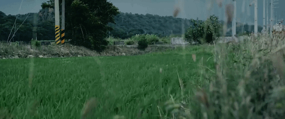 560_234gif 动态图 动图